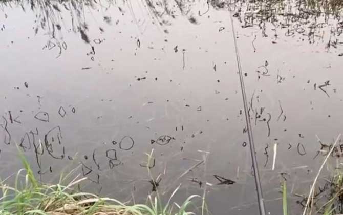传统钓