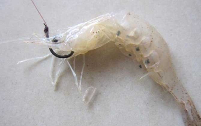 河虾